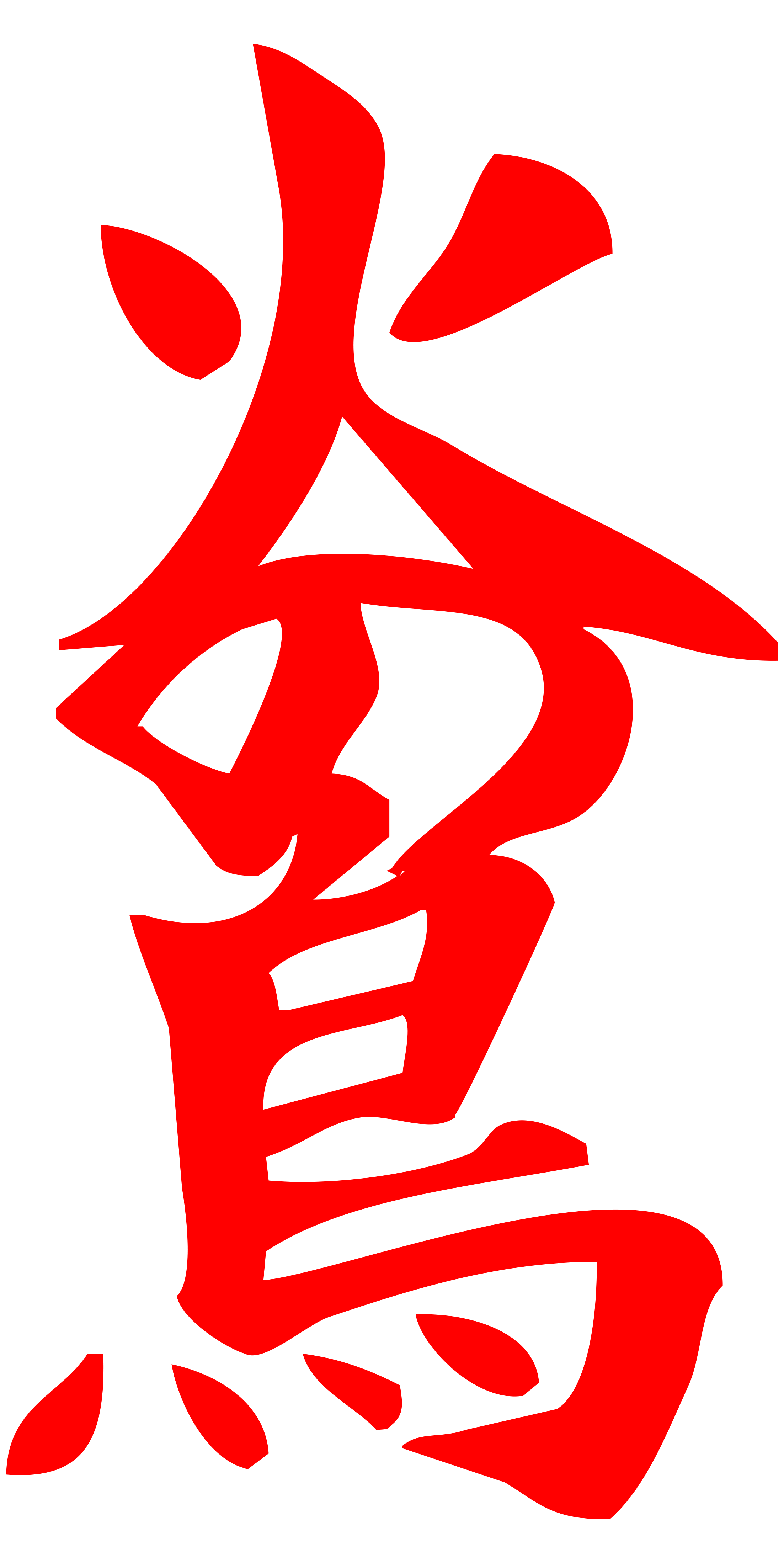 Hino Tori Karate